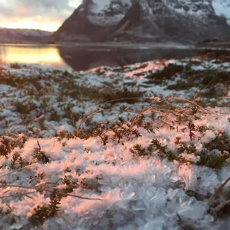 Gammelstua Seaview Kongsjorda