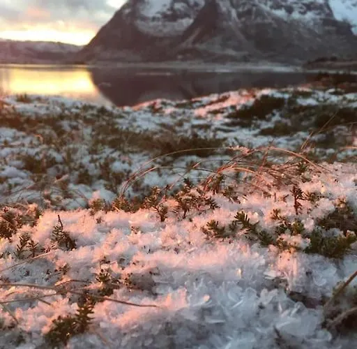 Gammelstua Seaview Kongsjorda