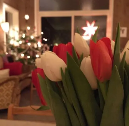 Gammelstua Seaview *